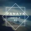 PanaYk - Chtěla By - Single